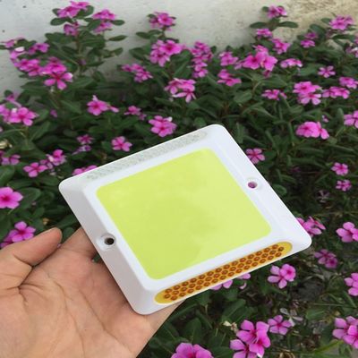 Plastic Self-luminescent Fluorescent Deck Lights Pathway Driveway Light Outdoor Garden Ground Lamp
